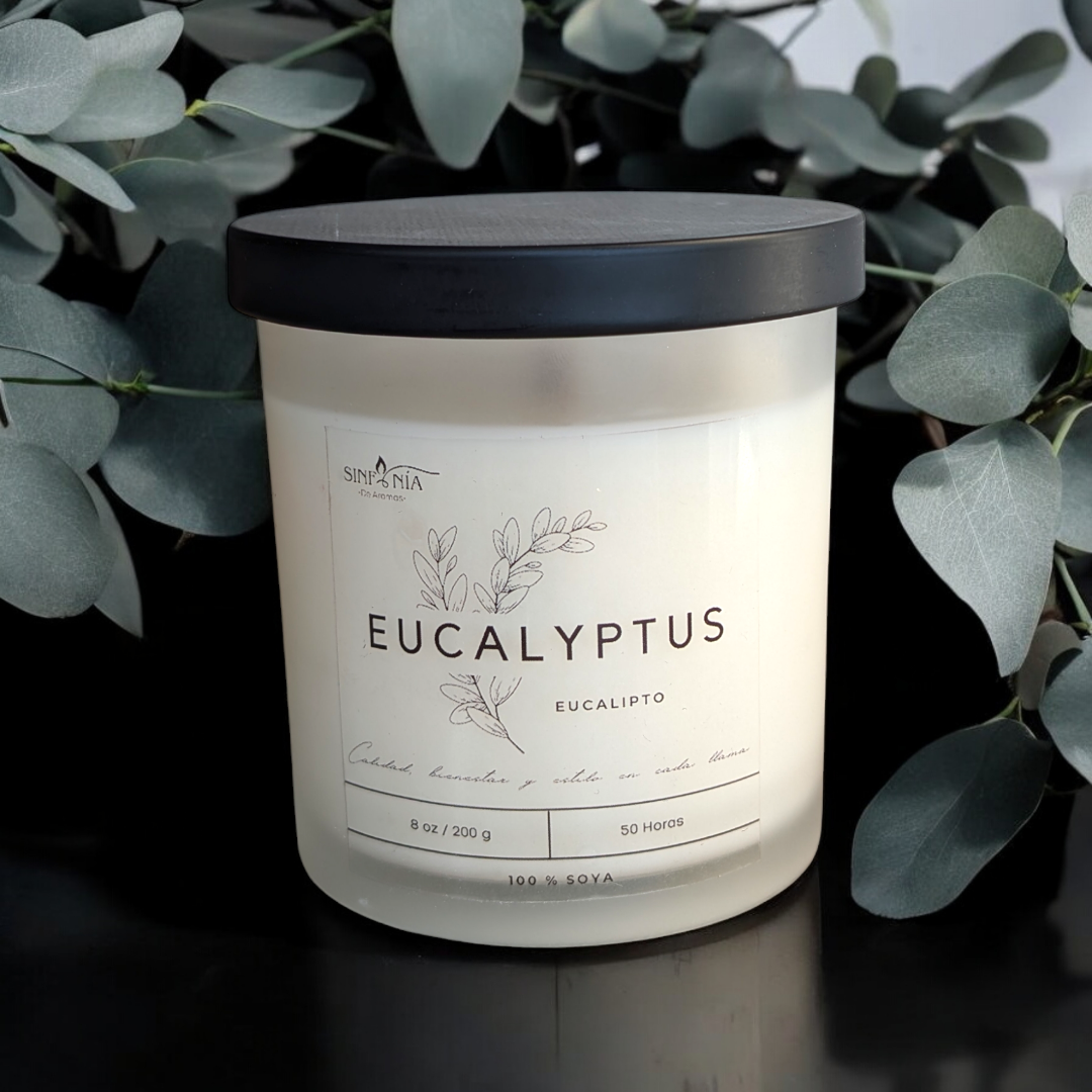 VELA EUCALYPTUS (EUCALIPTO)